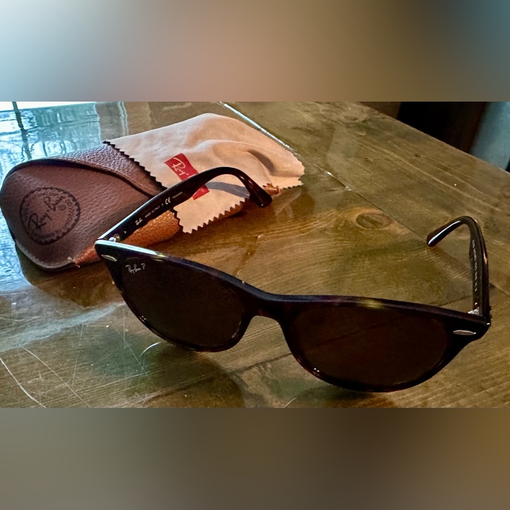 Polarized Ray Bans